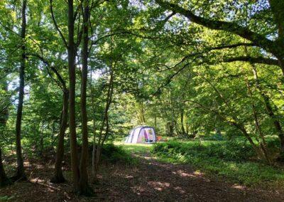 Woodland Sunny Glade wild camping in Kent