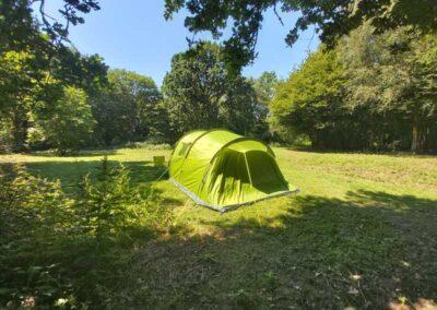 Woodland Sunny Glade wild camping in Kent