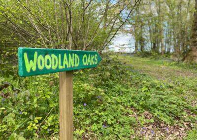 Woodland oaks camping Elham Canterbury Kent