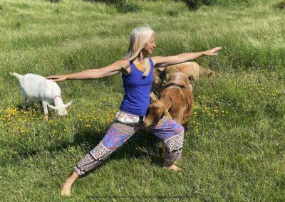 Tao Yin Yoga and Qigong With Goats