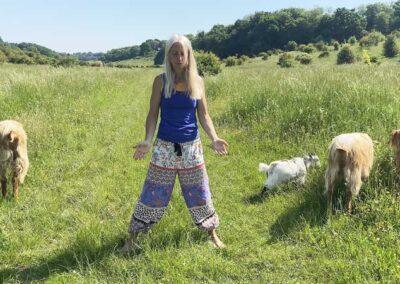 Tao Yin Yoga and Qigong With Goats in Kent